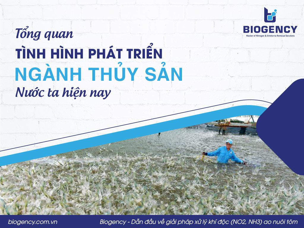 Tổng quan tình hình phát triển ngành thủy sản nước ta hiện nay