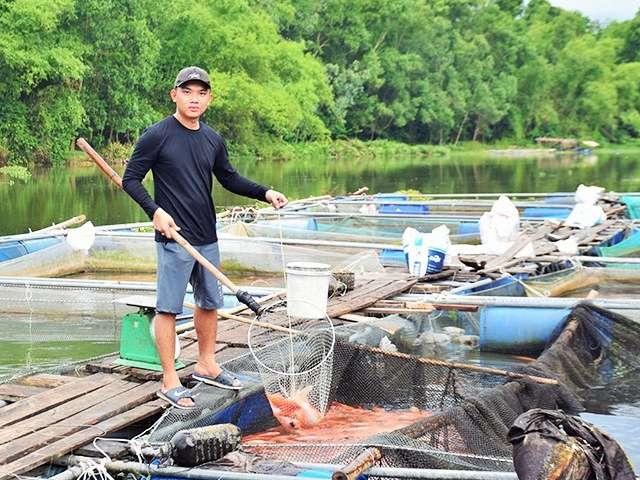 Ngành nuôi trồng thủy sản ở nước ta hiện nay phát triển mạnh