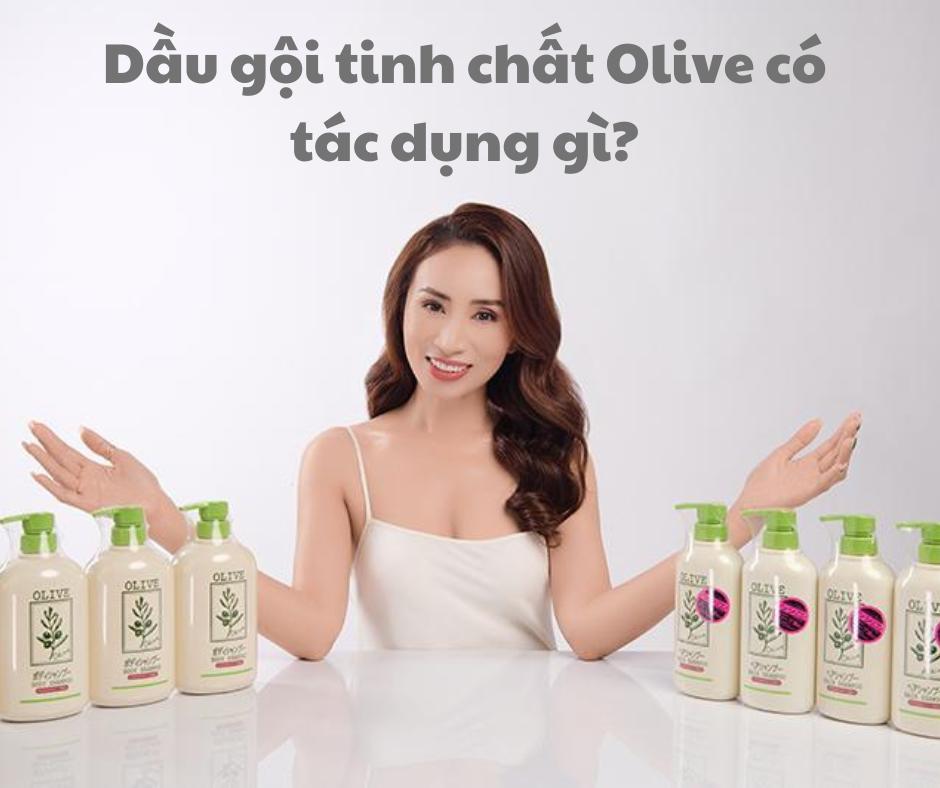 dầu gội olive có tác dụng gì