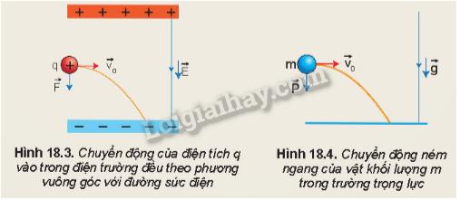 Lý thuyết Điện trường đều - Vật Lí 11 Kết nối tri thức</>